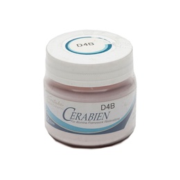 Cerabien Body Porcelain Powder for Alumina Dental Restorations 50g