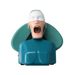 Fantoma JG-C4 Studio Dental Model with Accessible Mouth