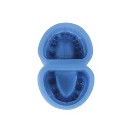 Silicone Mold for Edentulous Dental Prostheses Model Base Former
