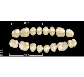 Gnathostar A-D Lower Posterior Acrylic Teeth, 8 Units