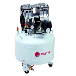 Piston Compressor with Integrated Dryer – 30L and 50L Tanks