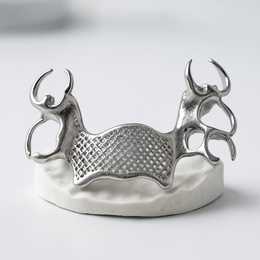 Co-Cr printed Metal Framework
