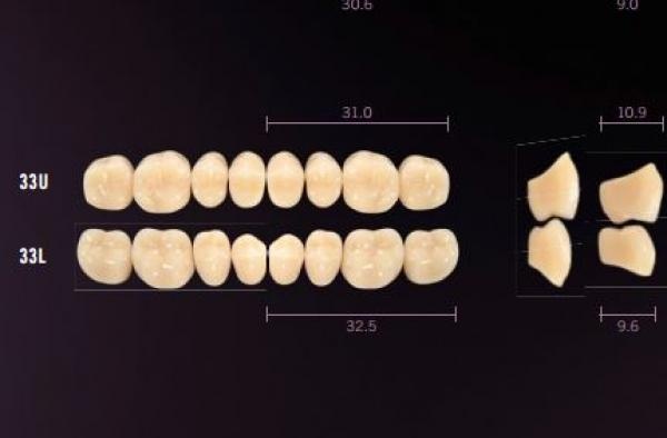 Idealis: Lower Posterior Acrylic Teeth (8 units)
