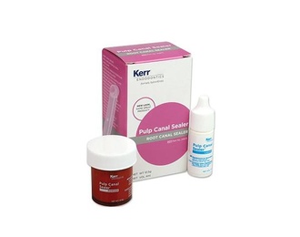 Pulp Channel Sealers Kit 10.5g Paste + 4ml Liquid for Root Canal Obturation