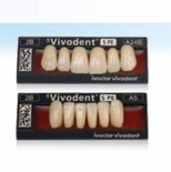 VIVODENT S PE anterior A13 superior teeth