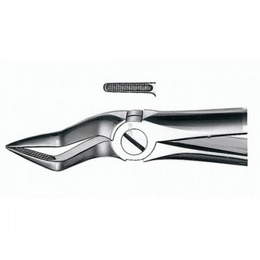 E51A Forceps N.51A for Upper Root Extraction