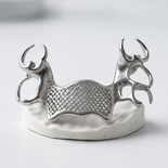 Co-Cr printed Metal Framework