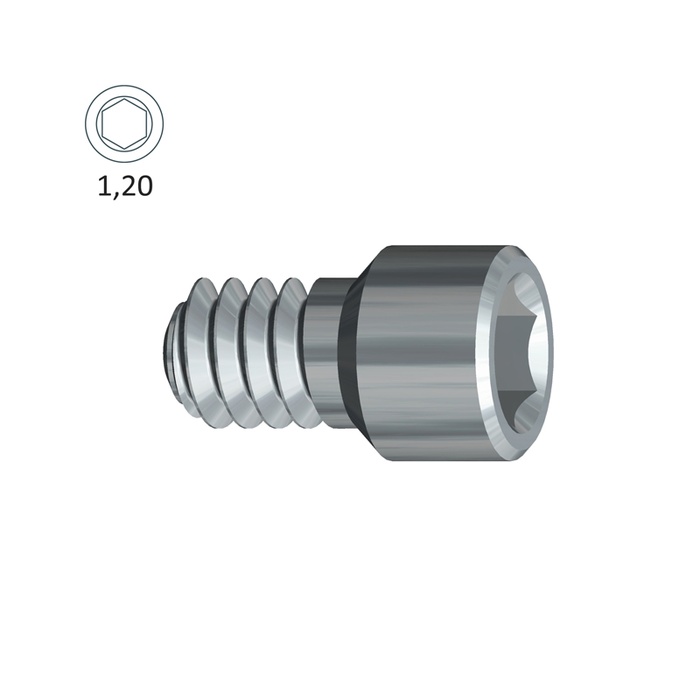 Internal Hexagonal Attachment Screw Type Zimmer TSV® ø4.5