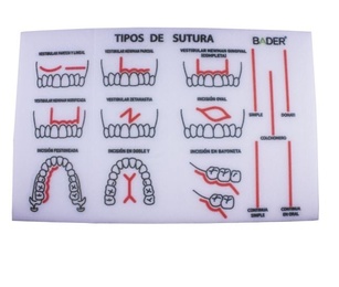 Practical Suture Foam Model for Dental Training and Practice