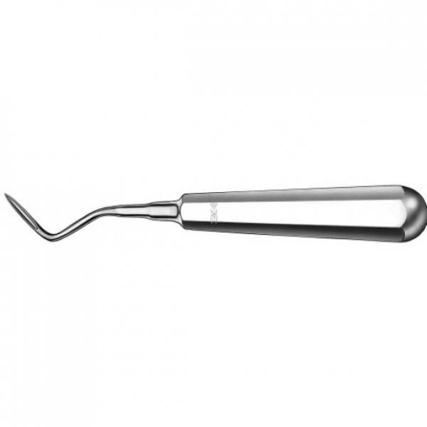 Flohr Root Elevator for Precise Tooth Extraction