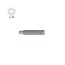 Internal Octagonal Attachment Screw for Straumann Tissue Level RN® ø4.8