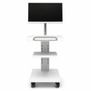 24-inch intraoral imaging display