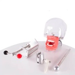Fantoma Simplicity Dental Simulator Model