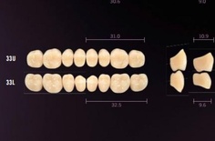Idealis: Lower Posterior Acrylic Teeth (8 units)