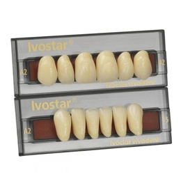 Ivostar Upper Anterior Acrylic Teeth Set - 6 Units