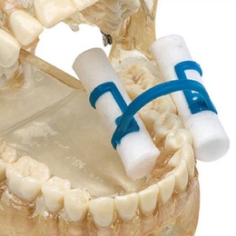 Intraoral Cotton Holder Positioner for Secure Cotton Roll Placement