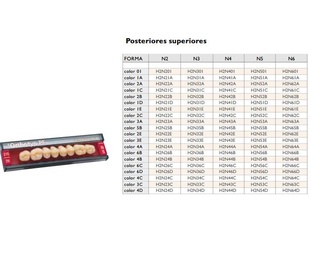 SR Orthotyp S PE Lower Posterior Acrylic Teeth, 8 Units