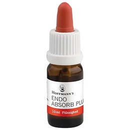 Endo Absorb Plus Calcium Hydroxide Temporary Root Canal Filling Material