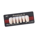 Premium: Lower Anterior Acrylic Teeth (6 units)