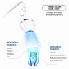 Blue Light Teeth Whitening Instrument with 8 High-Power LEDs