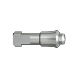 Internal Octagonal Analog for Straumann Tissue Level RN® Ø4.8