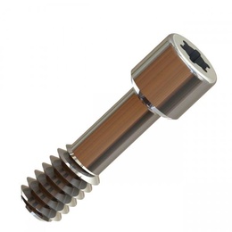 Promotive Screw for Regular Platform External Connection Implant (5 pcs)