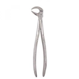Stainless Steel Pico de Loro Tooth Extraction Forceps Figure 86C