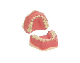 AK-6/2 Mixed Denture Model for Children Dental Typodont