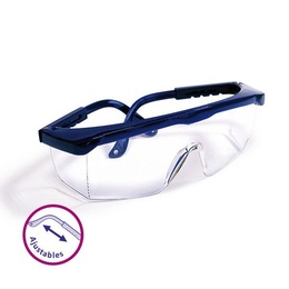 Adjustable Anti-Fog Dental Protection Glasses