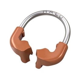 Halo Universal Matrix Ring for Sectional Matrix Bands
