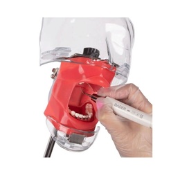 Periodontal Phantom Model for Dental Practice Training