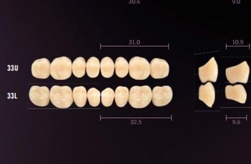 Idealis Lower Posterior Acrylic Teeth - Pack of 8 Units