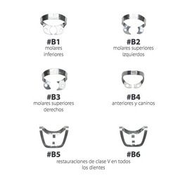 Universal Dental Clamps with Effective Gingival Retraction