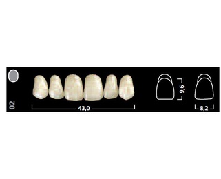 Ivostar A-D Upper Anterior Acrylic Teeth - Pack of 6
