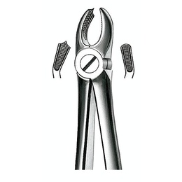 Carl Martin No. 18 Left Upper Molar Extraction Forceps Stainless Steel