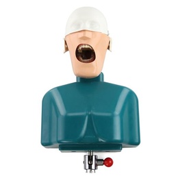 Fantoma JG-C1 Dental Simulator Model for Clinical Training