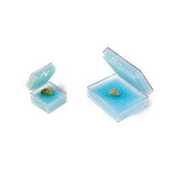 Transport Boxes for Individual Prostheses and Dental Bridges