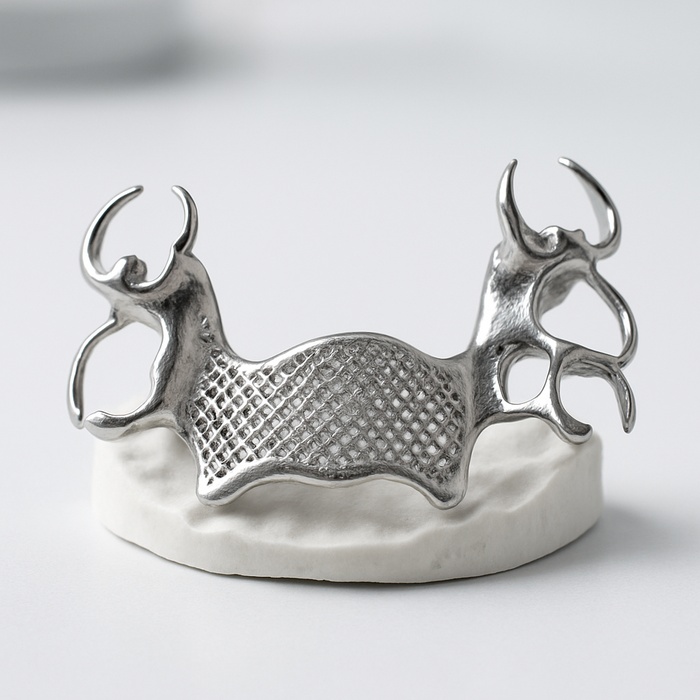 Co-Cr printed Metal Framework
