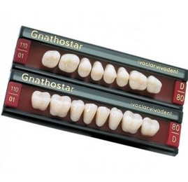 Gnathostar Upper Posterior Acrylic Teeth - Pack of 8 Units