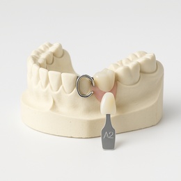 Orthodontic model