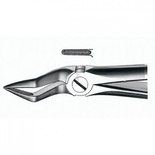 E51A Forceps N.51A for Upper Root Extraction