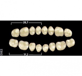 Gnathostar Lower Posterior Acrylic Teeth – Pack of 8 Units