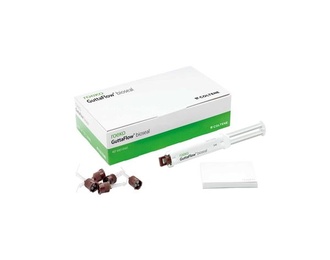 GuttaFlow Bioseal Standard Kit for Precise Endodontic Obturation