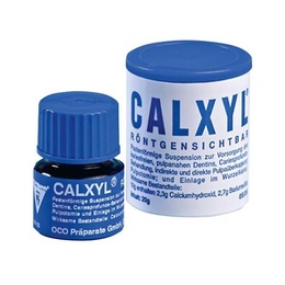 Calxyl Calcium Hydroxide Blue Paste for Pulp Protection and Cavity Lining
