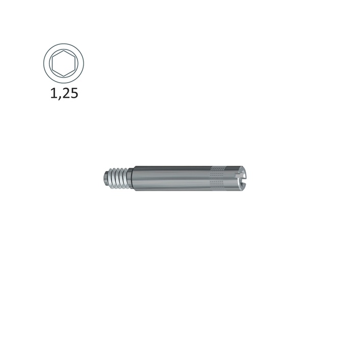Internal Octagonal Attachment Screw for Straumann Tissue Level RN® ø4.8