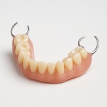 Lucitone Acrylic Finish only