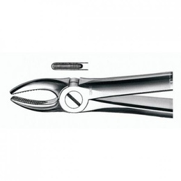 Carl Martin N79 Cordal Inferior Dental Forceps for Exodontia