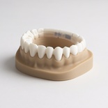 Printing Model Full Arch model