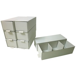 Clear Plastic Boxes for Dental Models with 3 Compartments, Pack of 100